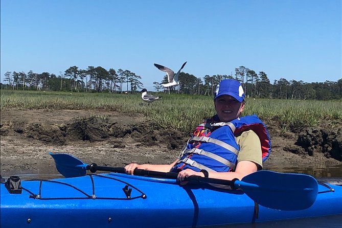 Guided Kayak Tour to see ponies, birds, dolphins and more - Price and value: is $75 worth it for this wildlife-focused kayak?