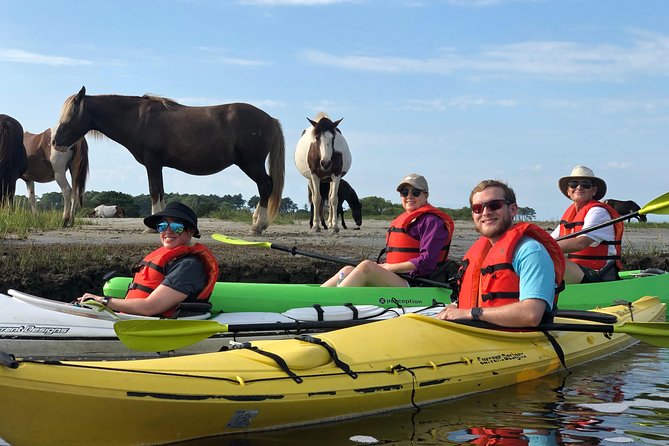 Guided Kayak Tour to see ponies, birds, dolphins and more - Who this guided kayak tour suits best