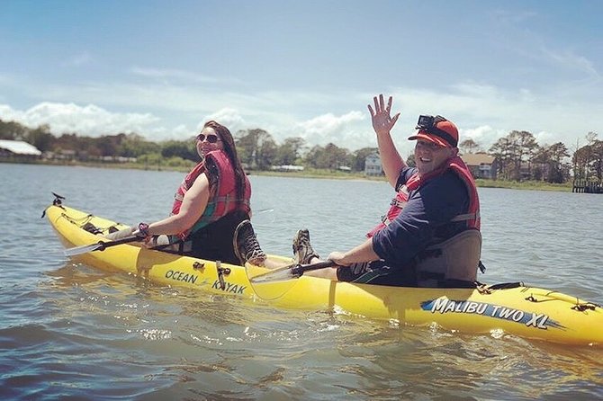Guided Kayak Tour to see ponies, birds, dolphins and more - Should you book this guided kayak tour?