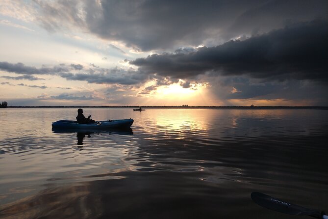Guided Kayak Tour with Manatee & Dolphin Sightings - Group Size, Pacing, and Who This Tour Suits Best