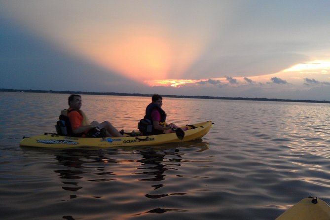 Guided Kayak Tour with Manatee & Dolphin Sightings - Manatee Cove Park to the Indian River: How the Paddle Actually Plays Out