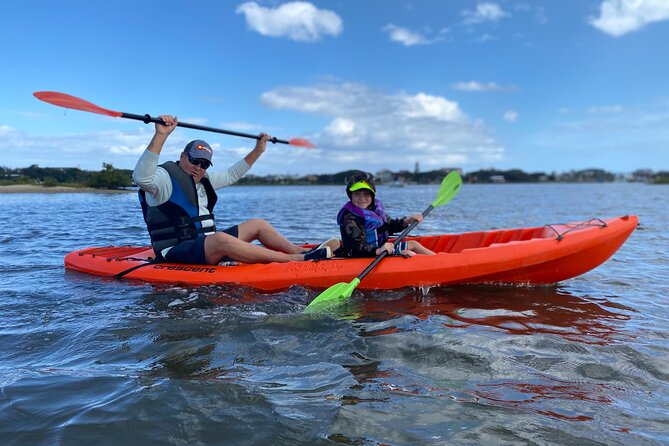Guided Tour for Dolphin & Sea Turtle Observation in Saint Augustine, Florida - A 2-hour route that actually matches the wildlife habitat