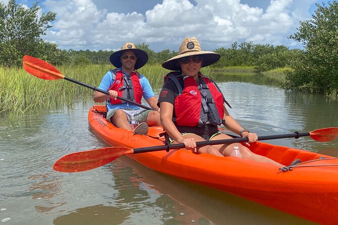 Guided Tour for Dolphin & Sea Turtle Observation in Saint Augustine, Florida - Wildlife spotting: dolphins, manatees, sea turtles, and birds