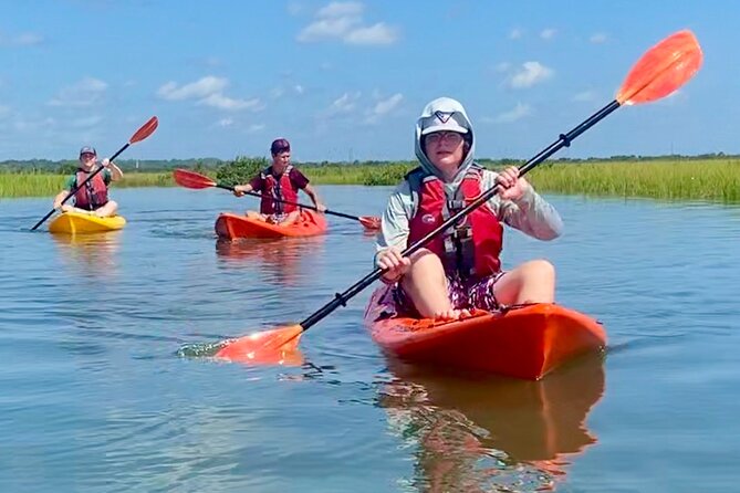Guided Tour for Dolphin & Sea Turtle Observation in Saint Augustine, Florida - How the guide turns the water into an ecology lesson