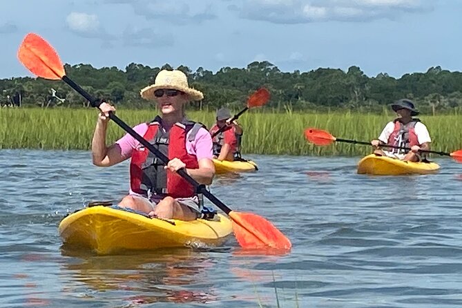 Guided Tour for Dolphin & Sea Turtle Observation in Saint Augustine, Florida - Price and value: $50 per person with real inclusions