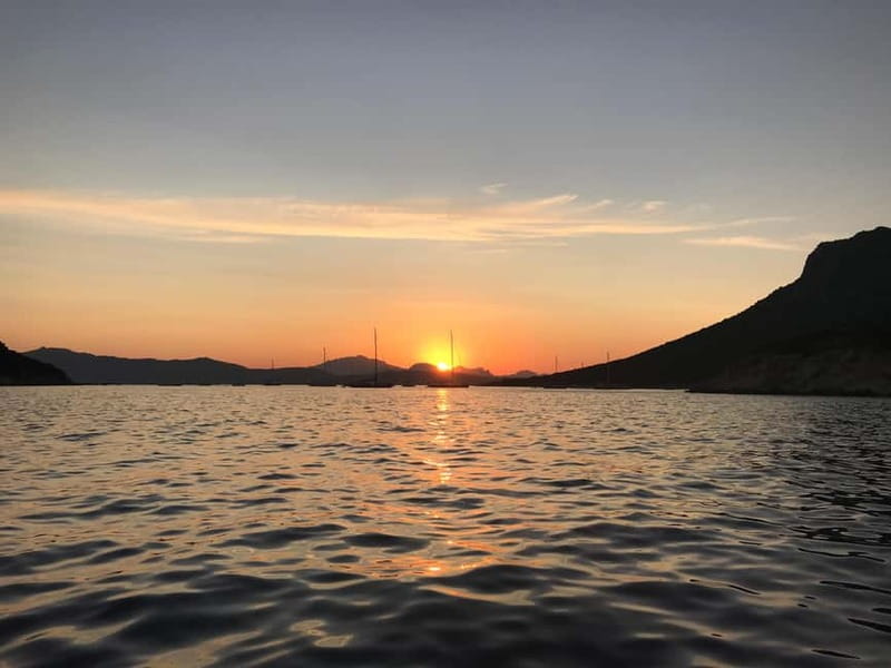 Gulf of Olbia: Dolphin watching by dinghy - Key highlights you’ll feel right away