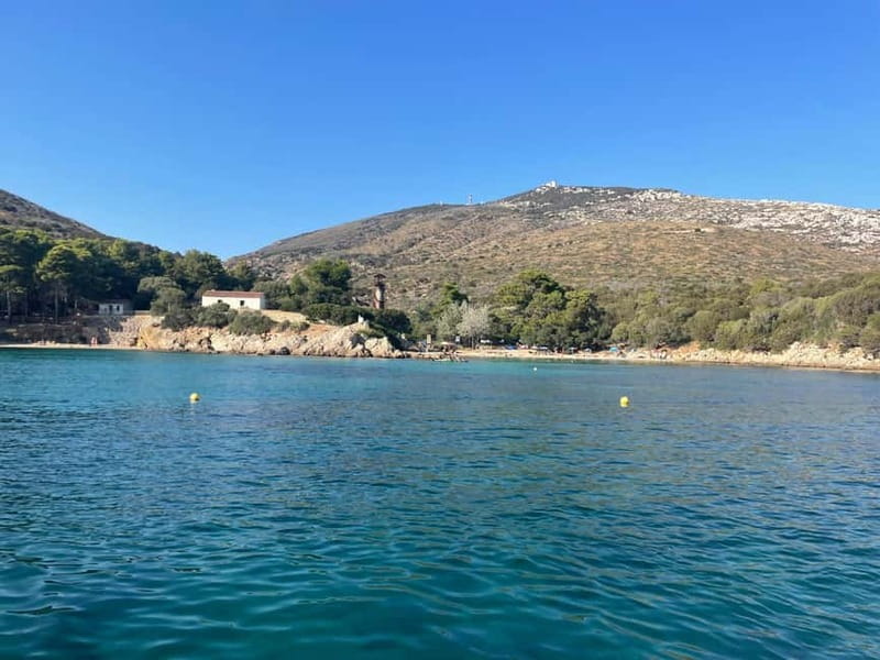 Gulf of Olbia: Dolphin watching by dinghy - Where Gulf of Olbia dolphin watching makes sense