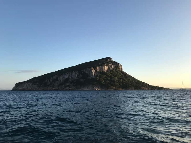 Gulf of Olbia: Dolphin watching by dinghy - Why Isola di Figarolo is the wildlife magnet