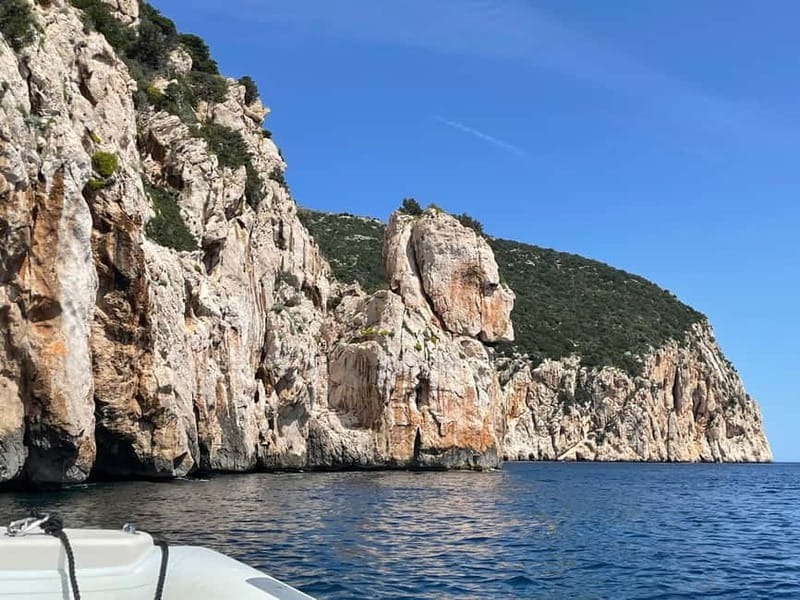 Gulf of Olbia: Dolphin watching by dinghy - What dolphin spotting feels like when the boat slows down