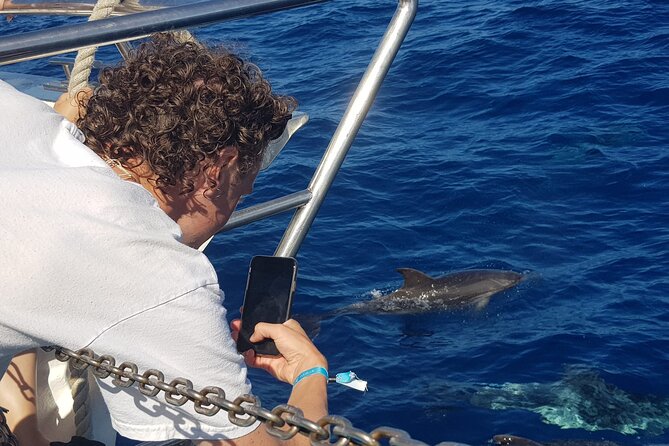 Half-Day Cruise Tour-Dolphin and Whale Watching - Puerto Rico Marina: Why This Departure Works