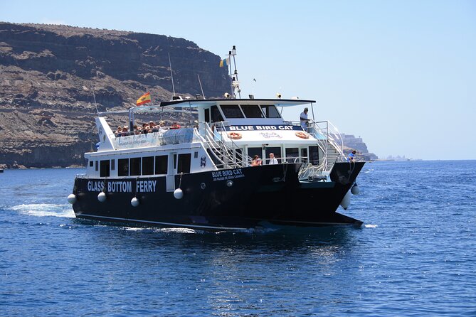 Half-Day Cruise Tour-Dolphin and Whale Watching - The Swim and Snorkel Stop: The Part You’ll Remember