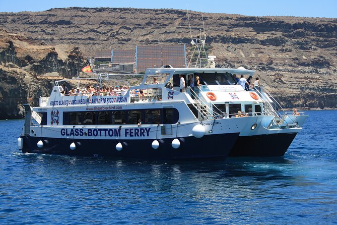 Half-Day Cruise Tour-Dolphin and Whale Watching - On Board Comfort: Seating, Toilets, and a Few Practical Tips
