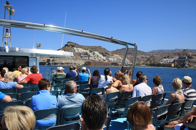 Half-Day Cruise Tour-Dolphin and Whale Watching - Value at $44.65: What You Get for the Money