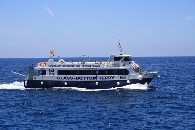 Half-Day Cruise Tour-Dolphin and Whale Watching - Should You Book This Dolphin and Whale Cruise from Puerto Rico Marina?
