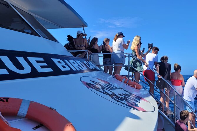 Half-Day Cruise Tour-Dolphin and Whale Watching - The Schedule You’ll Feel in Your Day (Without Wasting It)