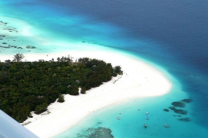 Half-Day Dolphin & Snorkeling Tour in Mnemba Island Zanzibar - Key Highlights to Know Before You Go
