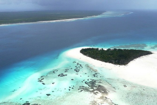 Half-Day Dolphin & Snorkeling Tour in Mnemba Island Zanzibar - Half-Day Time Plan: 8:00 AM Start, About 3 Hours on the Water