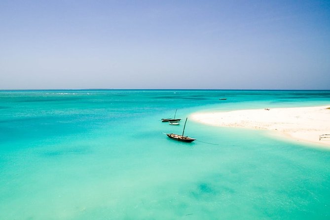 Half-Day Dolphin & Snorkeling Tour in Mnemba Island Zanzibar - Mnemba Island and the Mnemba Channel: Why the Reef Here Gets Attention