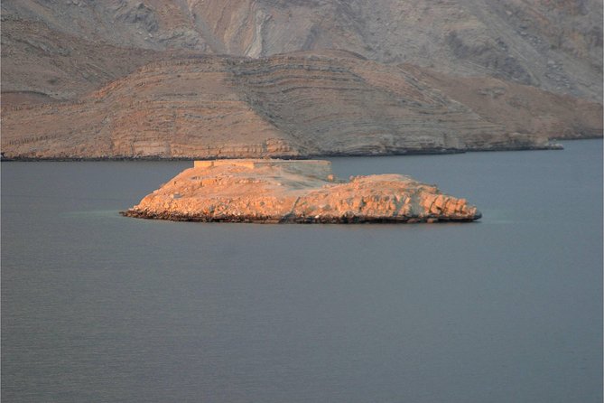 Half Day Dolphin Watching Musandam Dhow Cruise - Village Views and Local Notes: The Story Behind What You See