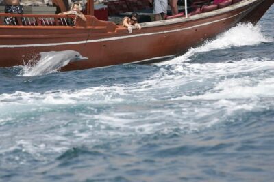 Half Day Dolphin Watching Musandam Dhow Cruise - Dolphin Watching in Musandam: When the Fjords Turn into a Show