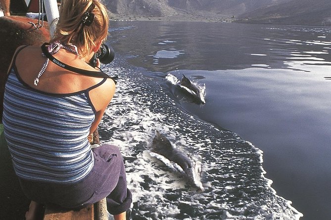 Half Day Dolphin Watching Musandam Dhow Cruise - Refreshments on Board: Fuel That’s Actually Nice on a Boat