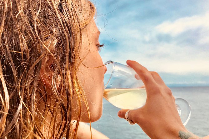 Half Day Dolphin & Wildlife Cruise - Tauranga - Family-friendly format that still works for adults