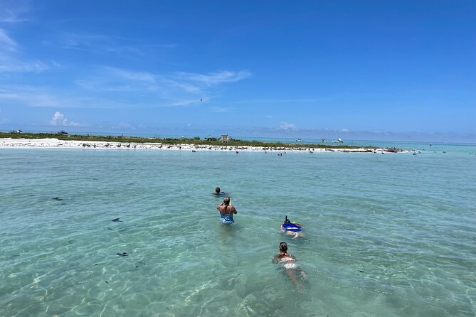 Half Day Eco and Dolphin Boat Tour in Siesta Key - Dolphins, Birds, and Sarasota Bay History From the Water