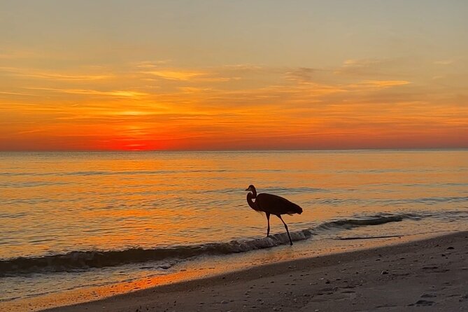 Half Day Eco and Dolphin Boat Tour in Siesta Key - Sarasota Bay + Ringling Mansion Views: Why the Route Starts Here