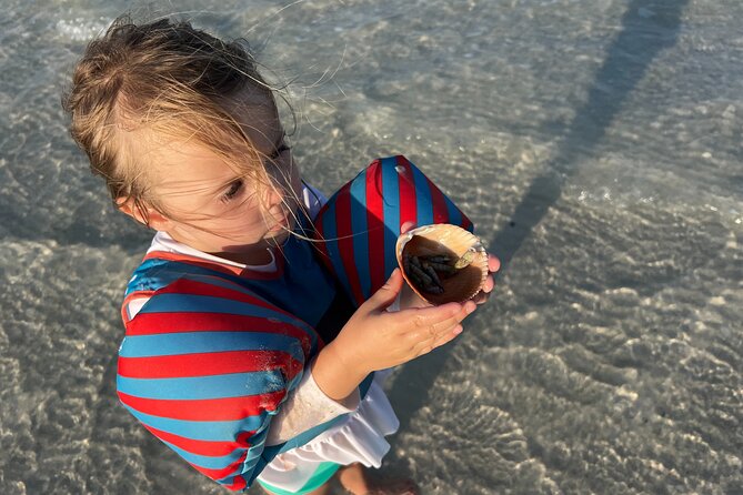 Half Day Eco and Dolphin Boat Tour in Siesta Key - Lido Beach Big Pass Sandbar: Shelling, Sun, and the Water Mat Break