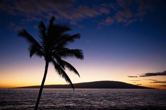 Half Day Snorkel to Lanai from Kaanapali Beach + Dolphin Search - Key things I’d circle on your plan