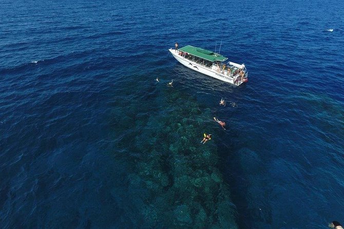 Half Day Snorkel to Lanai from Kaanapali Beach + Dolphin Search - Lanai from Kaanapali: the quieter coast you came for