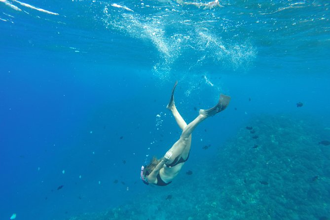 Half Day Snorkel to Lanai from Kaanapali Beach + Dolphin Search - Snorkel Stop 1: where you settle in and spot the basics fast