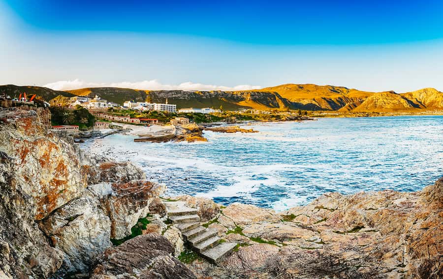 Hermanus: Whale and Dolphin Watching Boat Trip - Snacks, drinks, and onboard extras that make the wait feel good