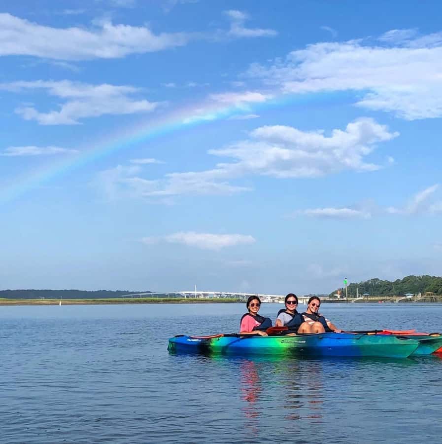 Hilton Head: 2-Hour Kayak Dolphin Nature Tour - Key things to know before you paddle