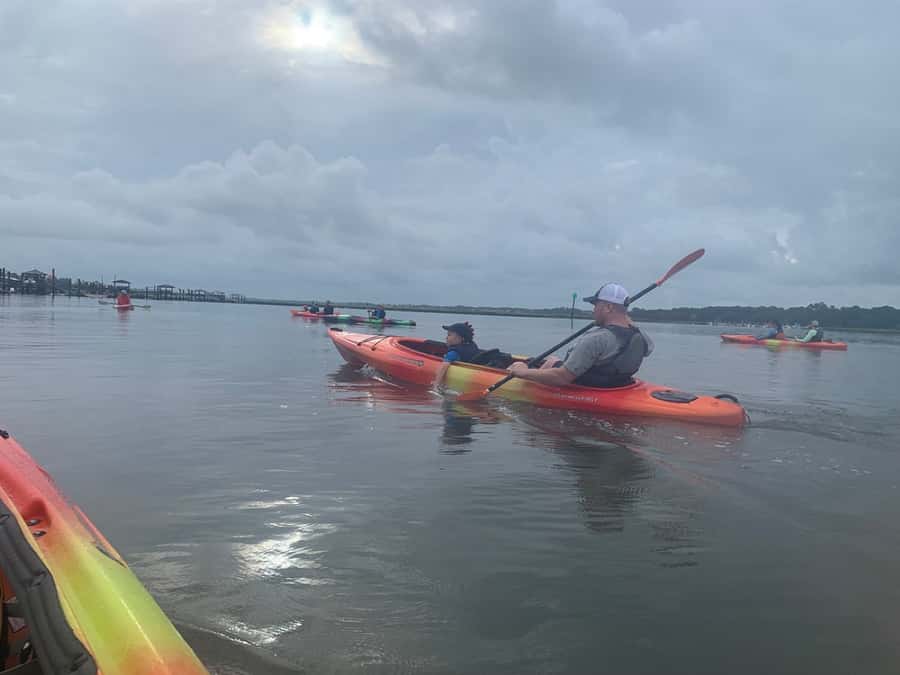 Hilton Head: 2-Hour Kayak Dolphin Nature Tour - Paddling pace and kayak setup: double, triple, and family-friendly logistics