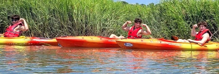Hilton Head: 2-Hour Kayak Dolphin Nature Tour - Price and value: is $47 fair for dolphins and wildlife education?
