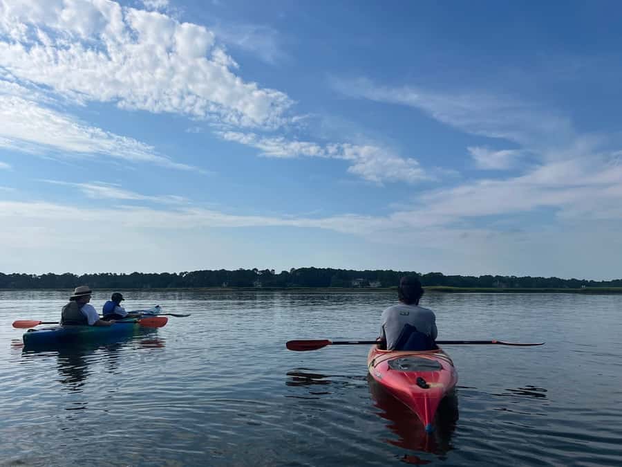 Hilton Head: 2-Hour Kayak Dolphin Nature Tour - Who should book this kayak dolphin tour (and who might pass)
