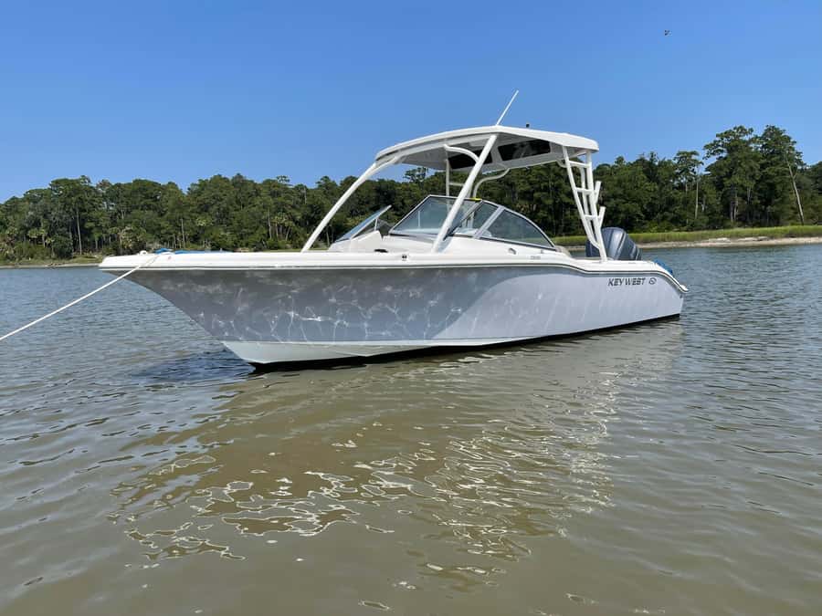 Hilton Head: 2 Hour Private Dolphin Tour - Captain Dave, Captain Harry, Captain Neil: Why the Guide Tone Changes Everything