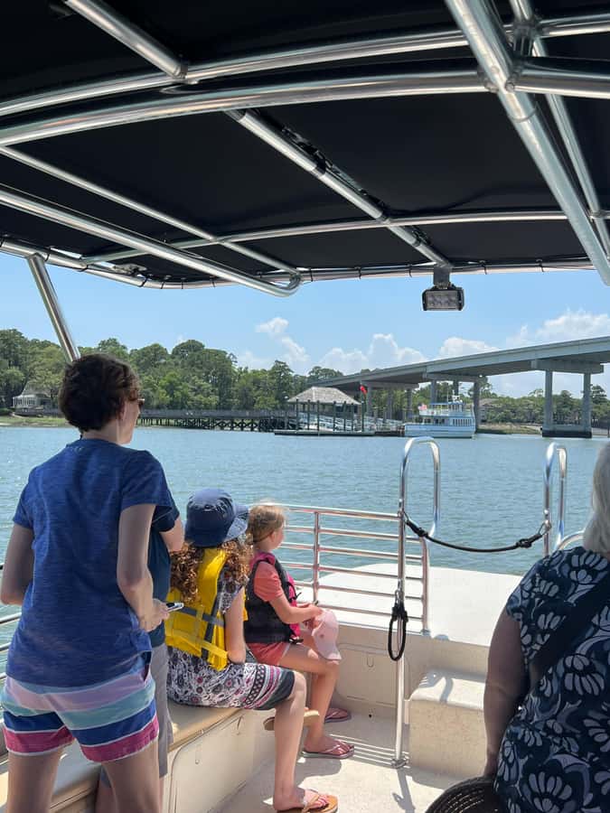 Hilton Head: Dolphin Eco Tour with Naturalist Guide - Who this Hilton Head dolphin eco tour fits best