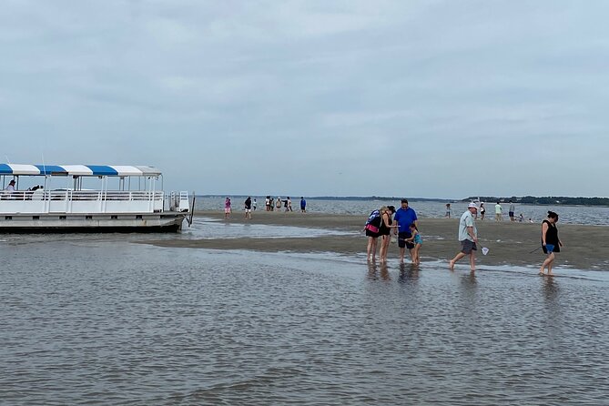 Hilton Head Dolphin Tour with Stop at Disappearing Island - Crew Energy and Family-Friendly Moments That Actually Matter