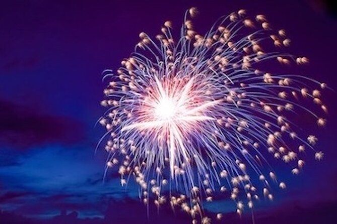 Hilton Head Dolphin Watching Cruise with Fireworks Display - Dolphins in the wild: how to enjoy it (even when sightings vary)
