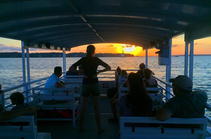 Hilton Head Dolphin Watching Cruise with Fireworks Display - Price and value: what $59.99 buys you (and what it doesn’t)