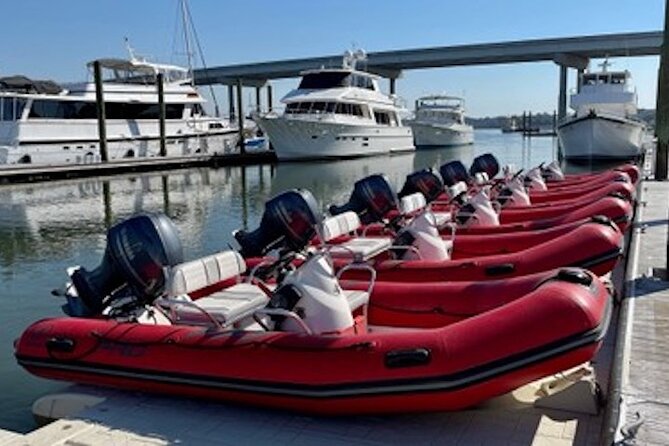 Hilton Head Guided Dolphin Watching & Sightseeing Tour via Mini Boat - Price and logistics: $199 per group, no hotel pickup, and who can drive