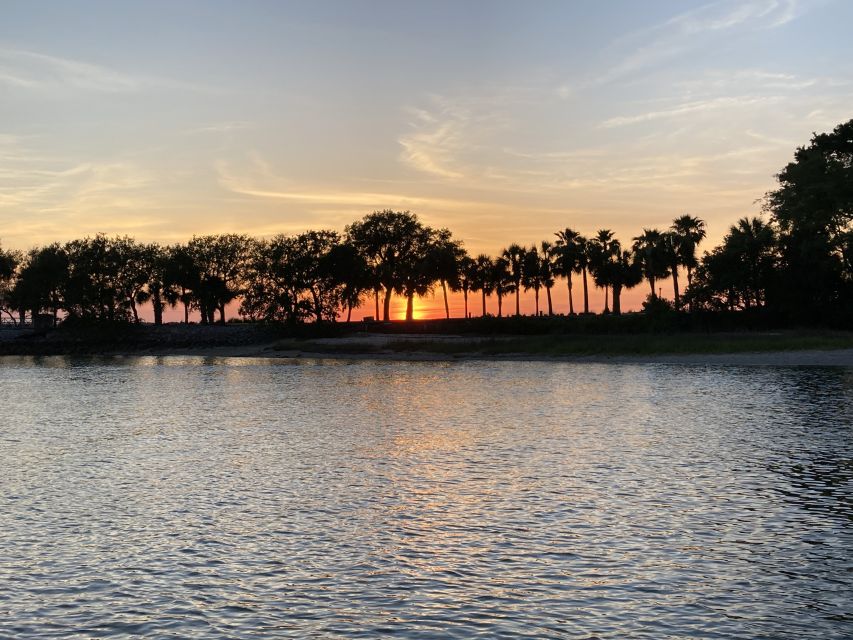 Hilton Head Island: 90-Minute Dolphin & Nature Tour - Snacking on board: cash bar, bring-your-own options, and the no-glass rule
