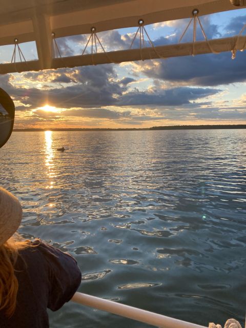 Hilton Head Island: 90-Minute Dolphin & Nature Tour - Who this tour is best for (and who should skip it)