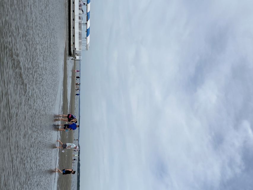 Hilton Head Island: Disappearing Island and Dolphin Tour - Key things to know before you go