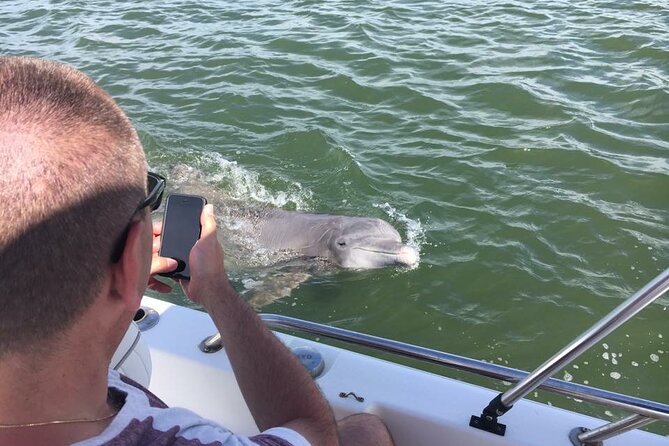 Hilton Head Island Dolphin Boat Cruise - Dolphin Sightings: How the Cruise Improves Your Odds