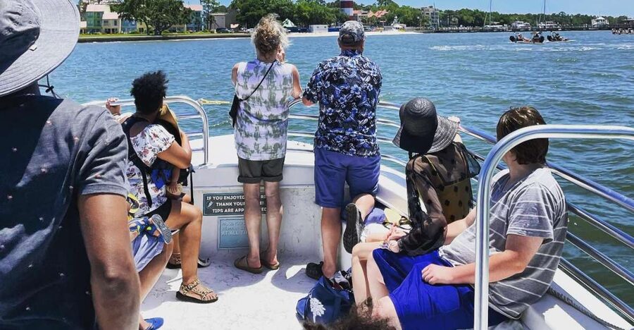 Hilton Head Island: Dolphin Cruise & Nature Tour - Should you book Hilton Head Island Dolphin Cruise & Nature Tour?