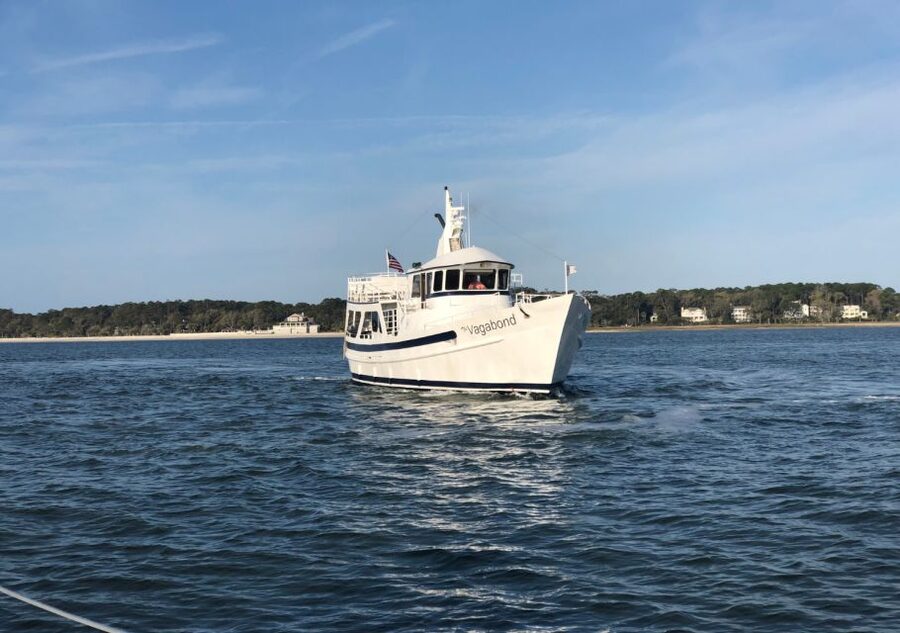 Hilton Head Island: Dolphin Nature Cruise - Where to meet: Harbour Town Lighthouse timing and on-site reality