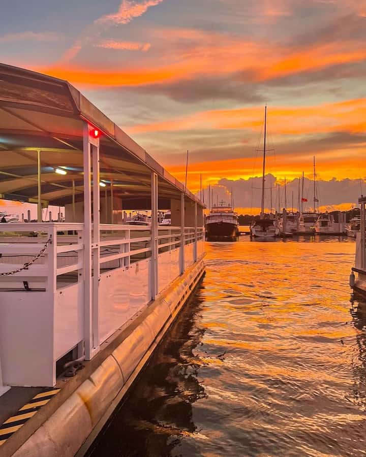 Hilton Head Island: Dolphin Tour at Sunset & Fireworks Show - Entering Lowcountry Watersports: Finding the Meeting Point Without Stress